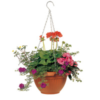 Surfiniaampel 38cm 13L Brun endast hel kartong 10 st