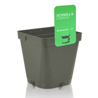 Perennkruka Svart 11x11x11 (414st) m etikett slits