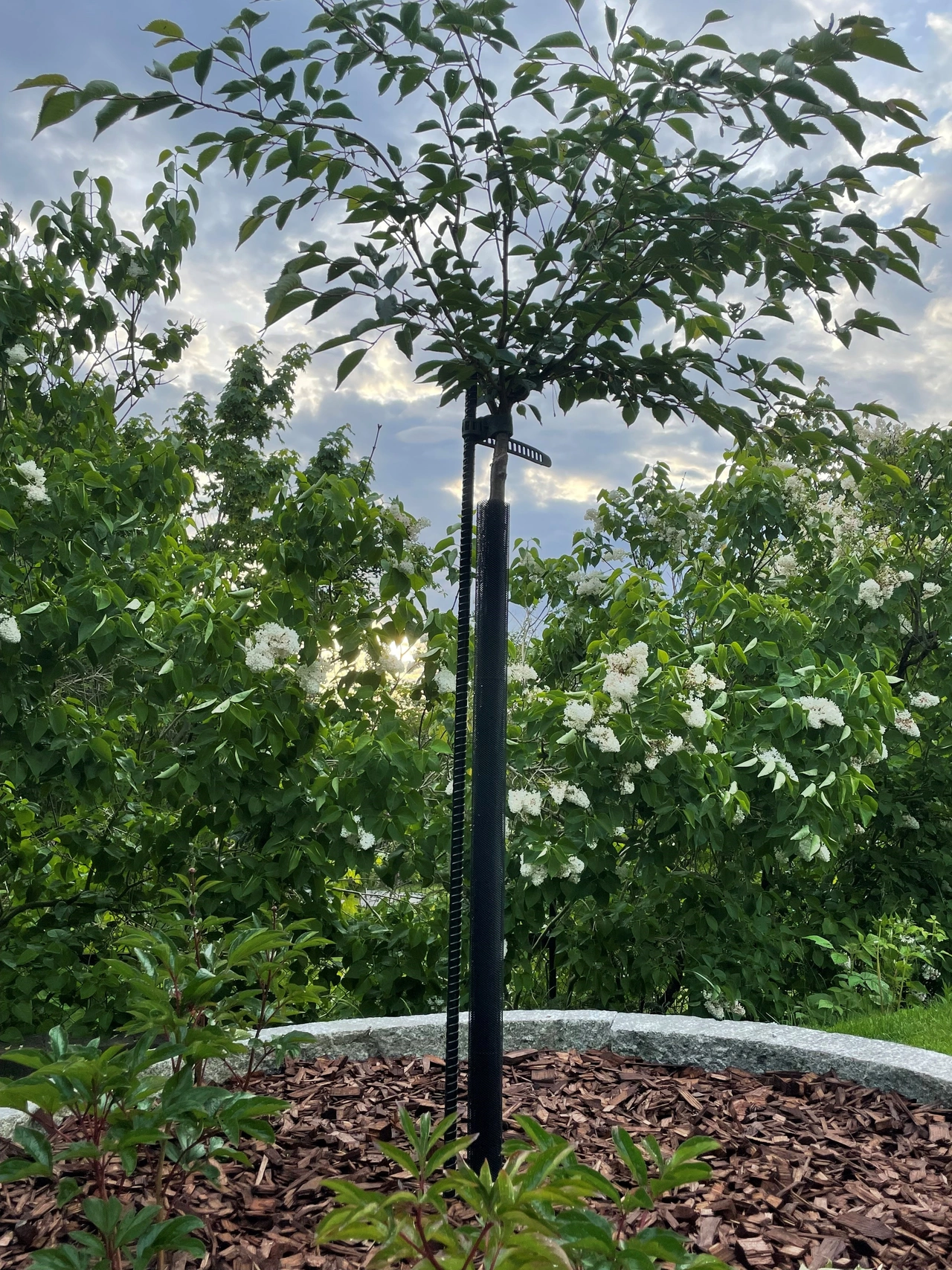 Gnagskydd svart på rulle. 1,10 x 100 m