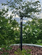 Gnagskydd svart på rulle. 1,10 x 100 m