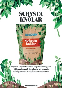 Algomin Schyssta Knölar 1 kg