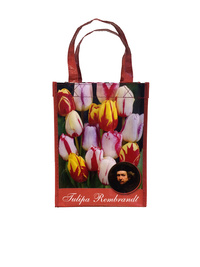 Tulpan Blandning Gift Bags Rembrandt (20 st) 12+