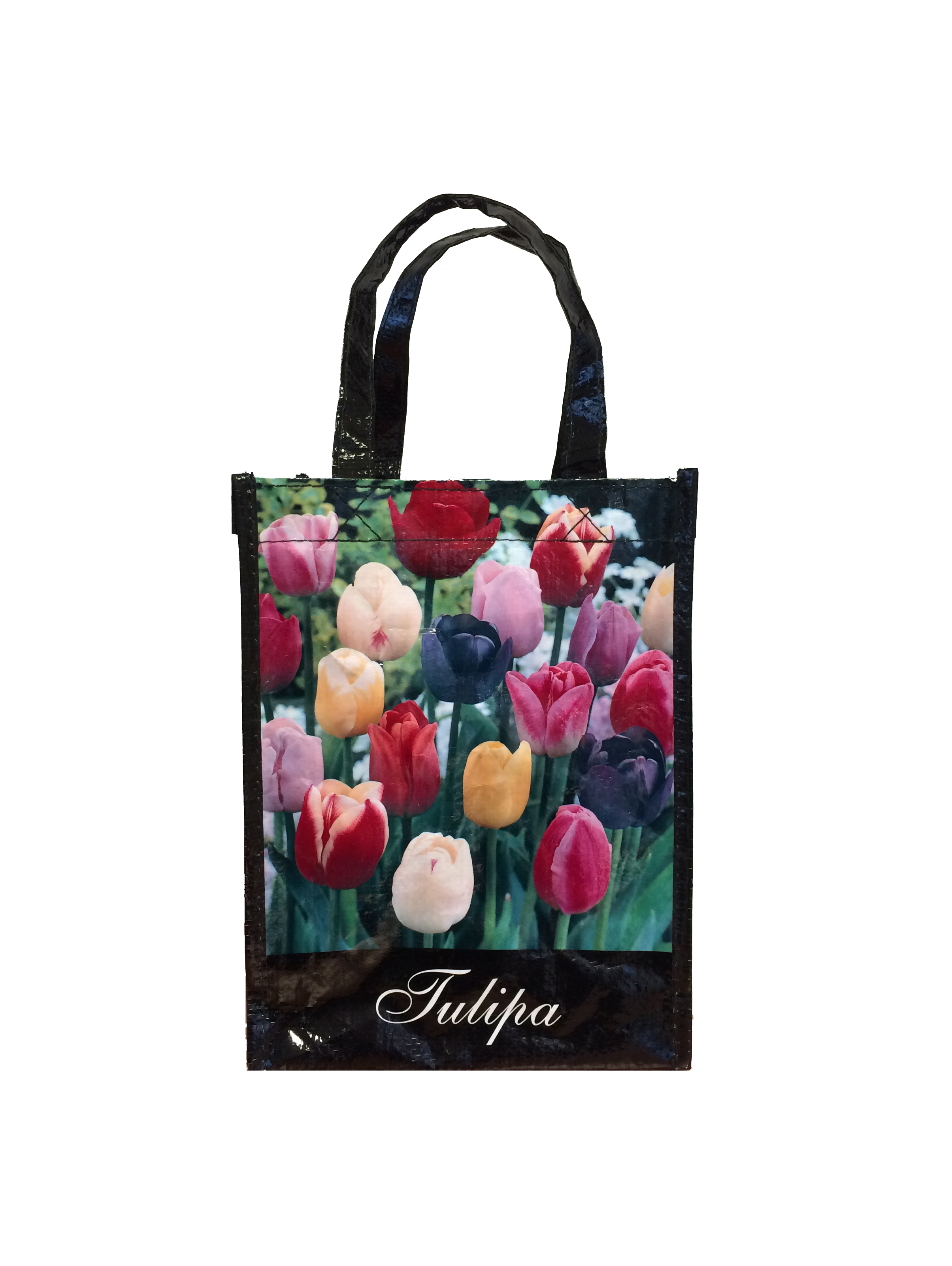 Tulpan Blandning Gift Bags (20 st) 12+