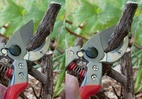 ARS-VA7Z, Sekatör pro Anvil small