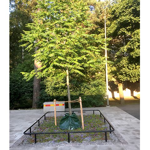 Bevattningssäck Tgross Premium 75L