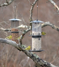 Fågelmatare frö Stylish svart 35cm