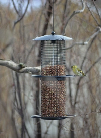 Fågelmatare nöt Stylish svart 35cm