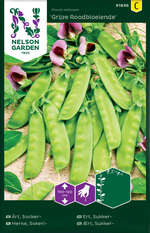 Ärt, Socker-, Grijze Roodbloeiende, hög v26