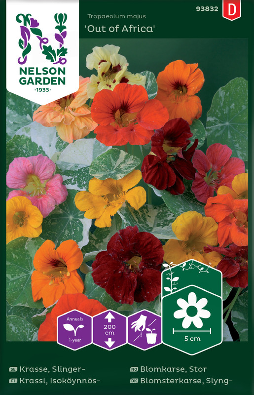 Krasse, Slinger-, Out of Africa v26