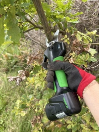 Elsekatör TigerCut , 32mm inkl laddare/väska/hölster