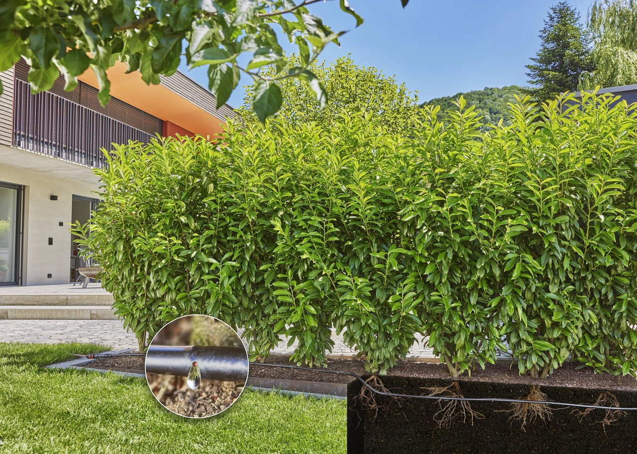 Gardena Micro-Drip Startset Buskar/Häckar (25 m)