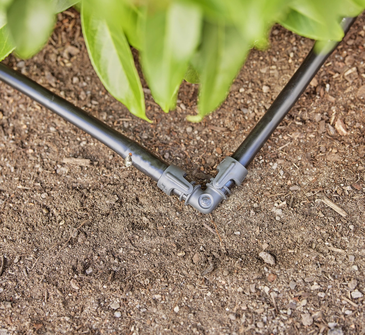 Gardena Micro-Drip Startset Buskar/Häckar (50 m)