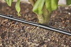 Gardena Micro-Drip Startset Buskar/Häckar (50 m)