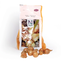 Sättlök Schalottenlök 250 g