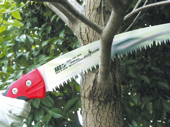 Såg m hölster svängt blad m rensfas