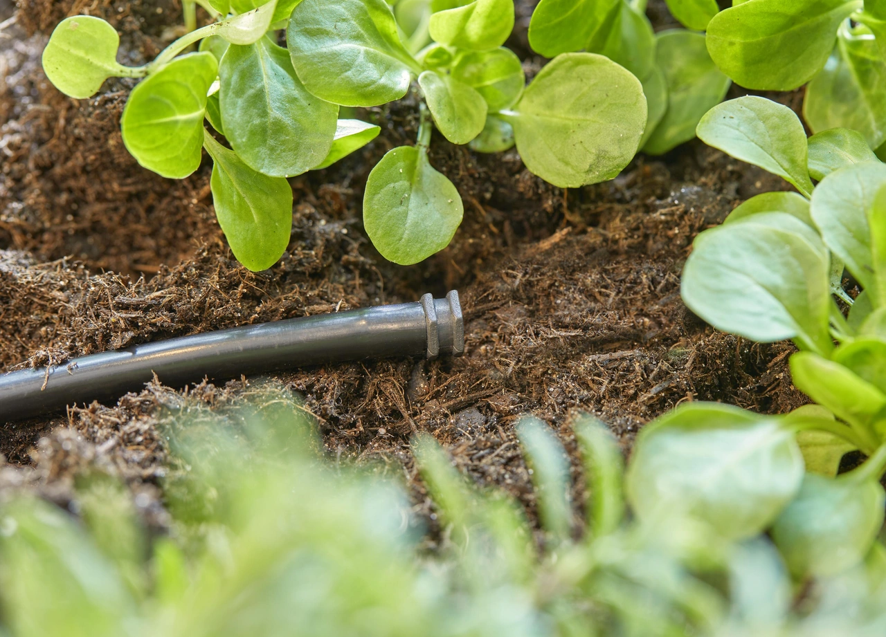 Gardena Plugg 4,6mm (3/16) 10 pack