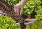 Gardena Skarvkoppling 4,6mm (3/16) 10 pack