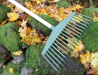 Keba räfsa, grön skaft 150 olack