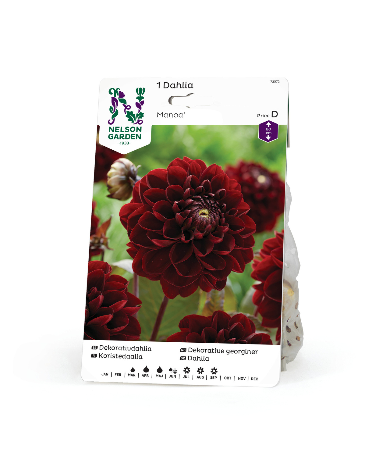 Dahlia Hög dek. Manoa röd 1st