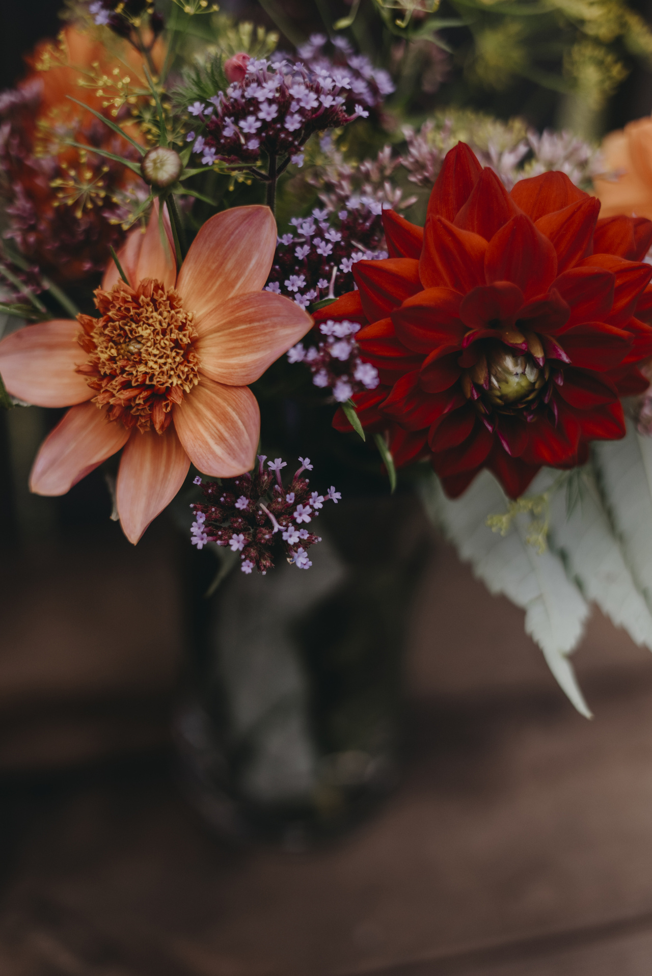 Dahlia Hög dek. Red Silence, röd 1st