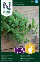 Mynta, Peppar-, Multimenta, v26