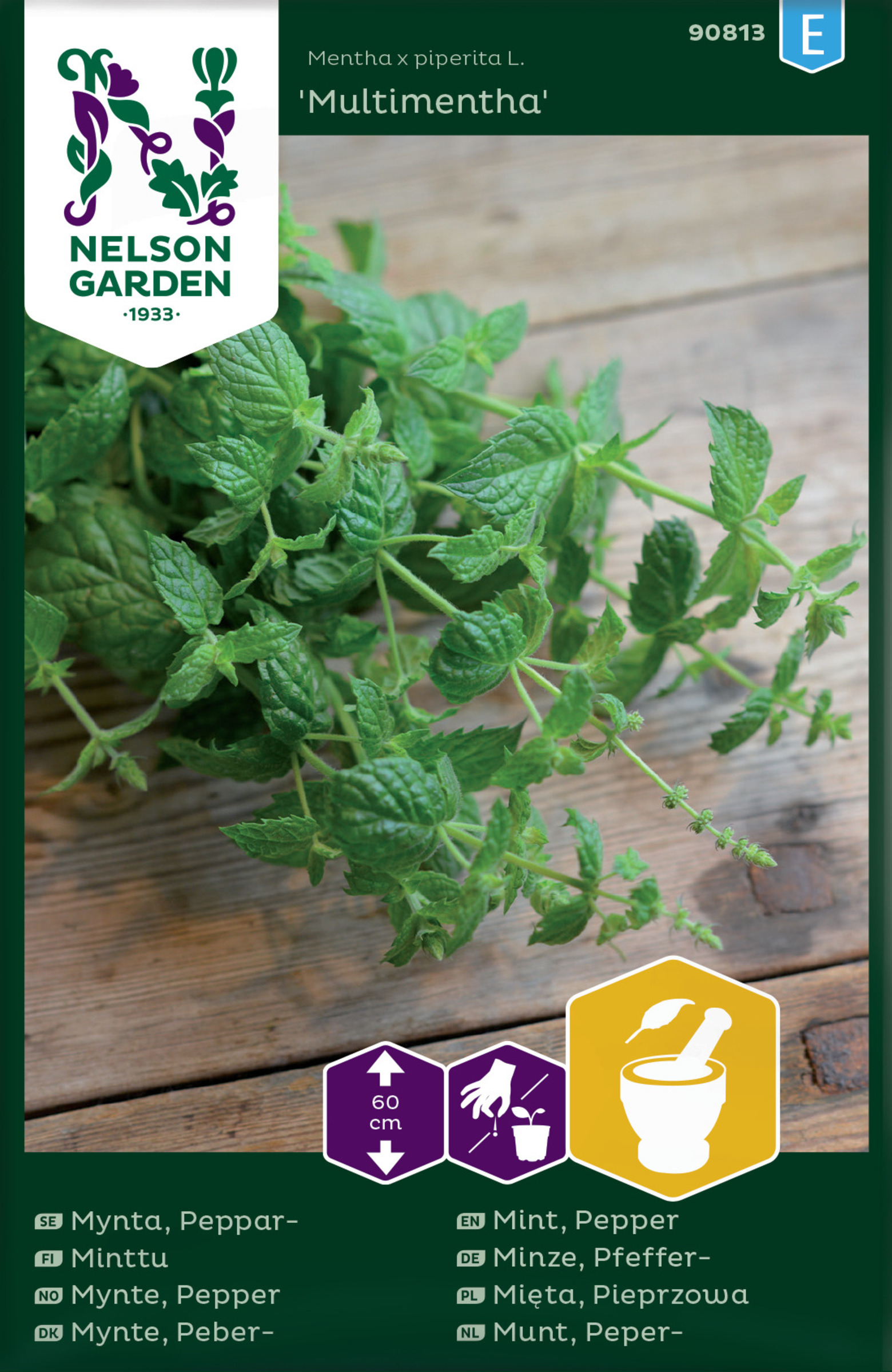 Mynta, Peppar-, Multimenta, v26