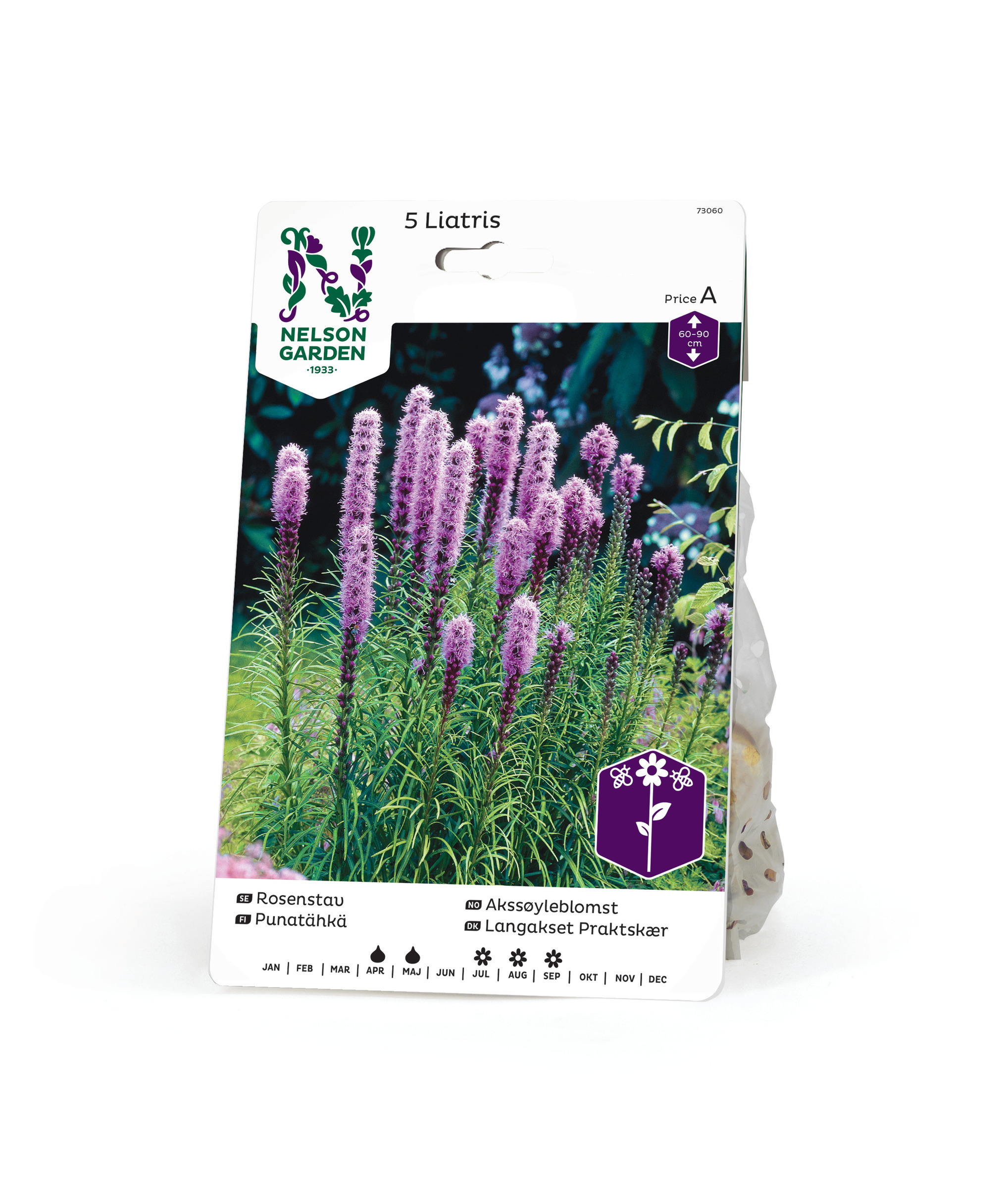 Rosenstav, Liatris spicata, lila 5st