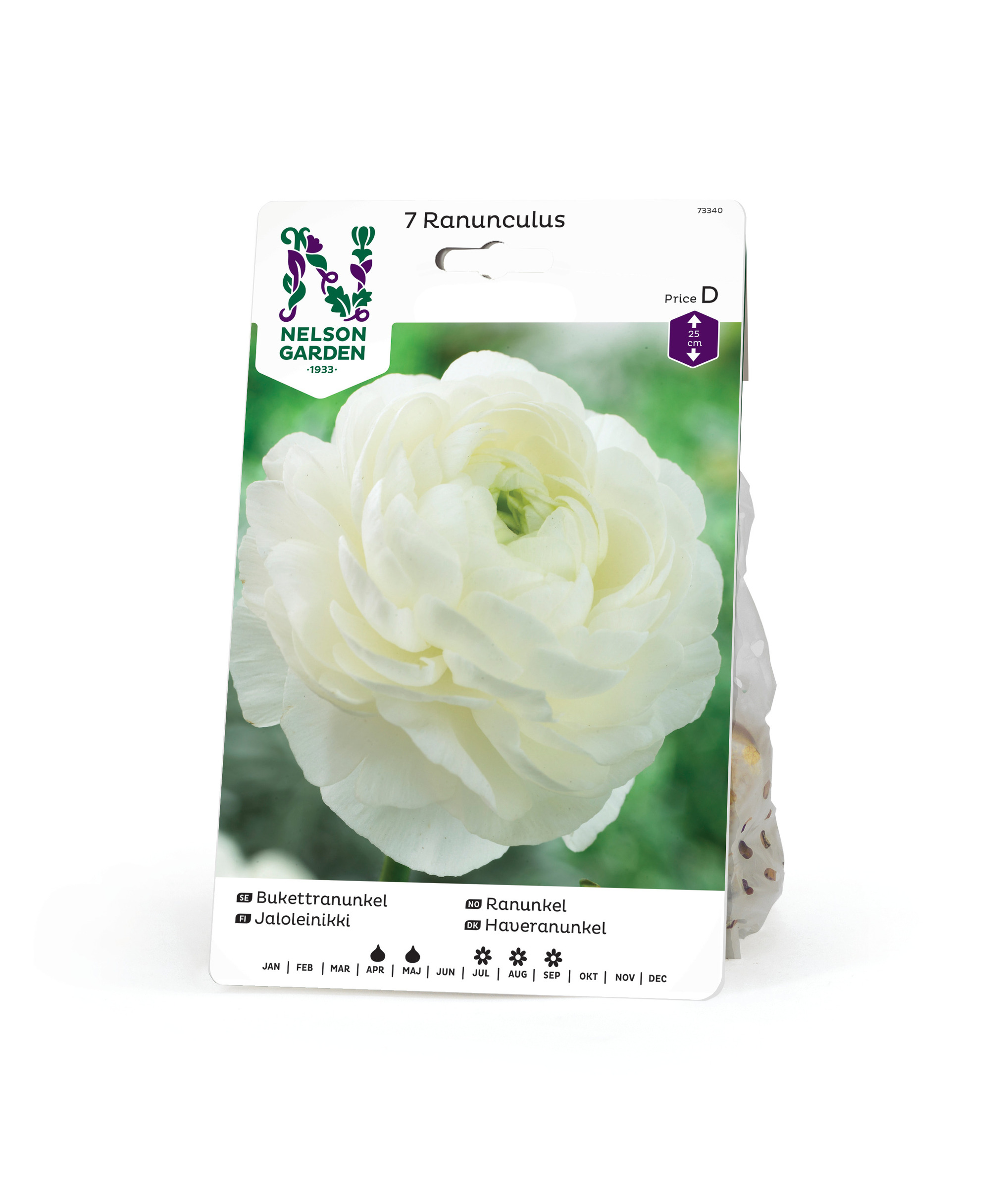 Ranunkel, Ranunculus, vit 7st