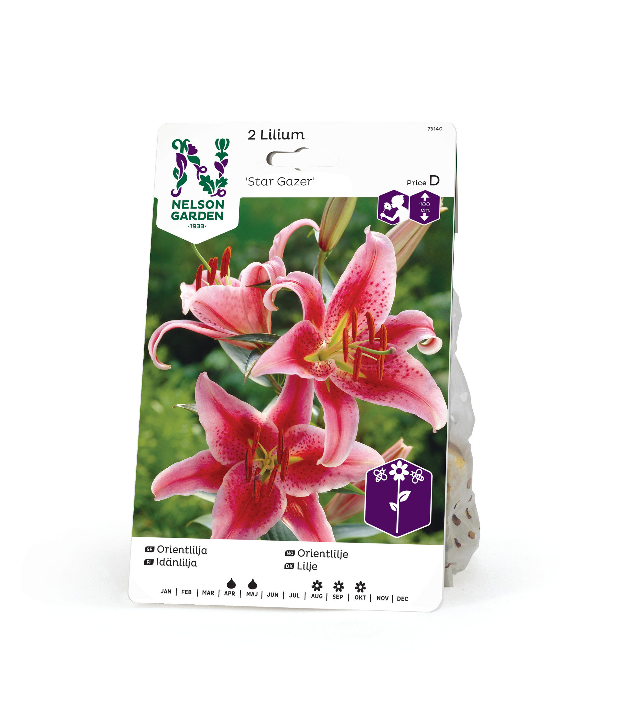 Lilja orient, Stargazer 2st