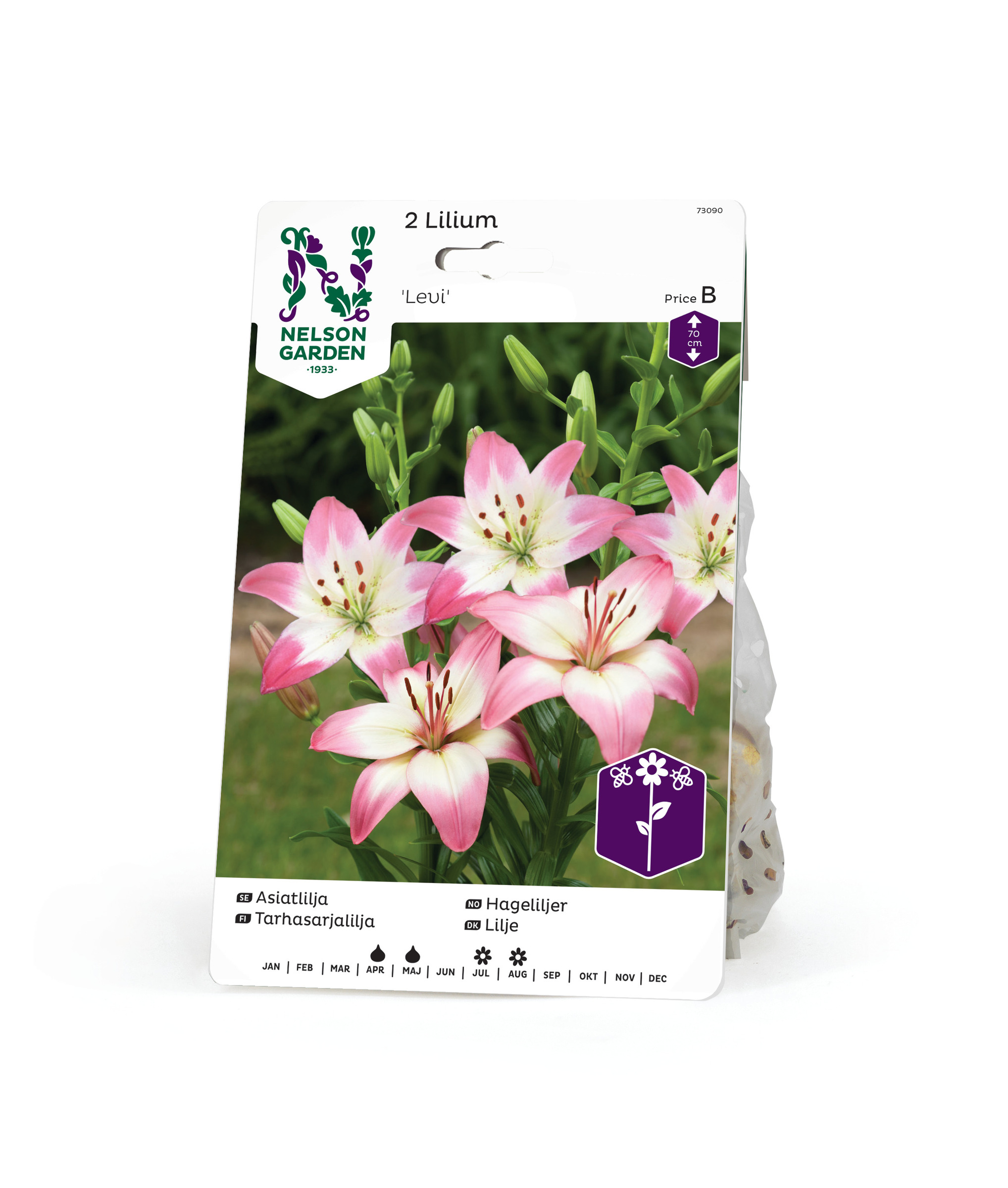 Lilja asiat, Levi 2st