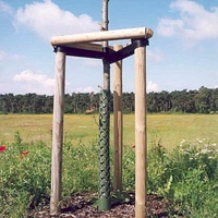 Granstör 2,5m 6 cm natur