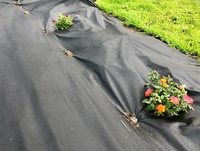 MIA Weedkiller Ogräsduk 1x15m