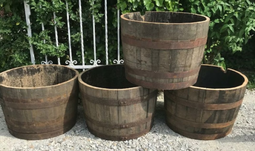 Halvt whiskyfat Ek 100 liter - Premium