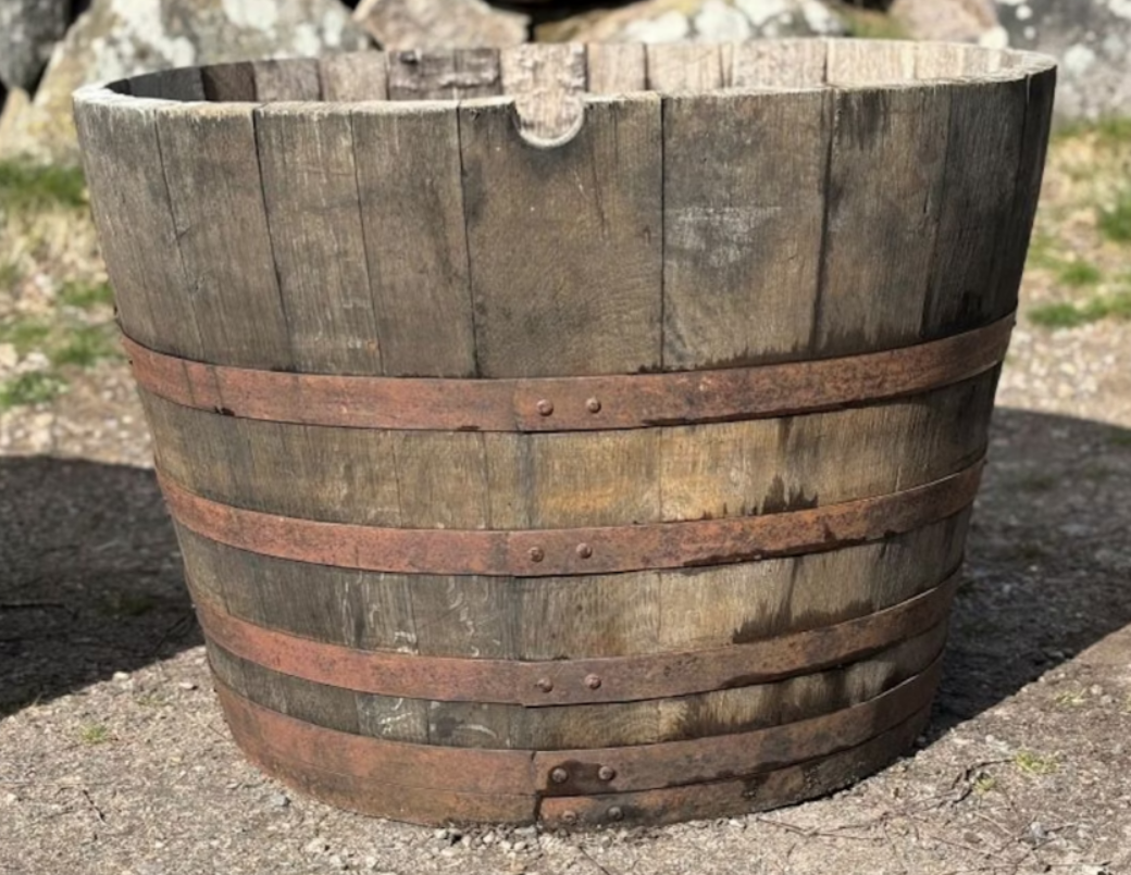 Halvt whiskyfat Ek 250 liter - hög modell