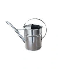 Vattenkanna 2L Zink