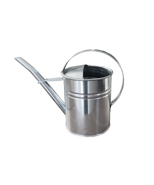 Vattenkanna 2L Zink
