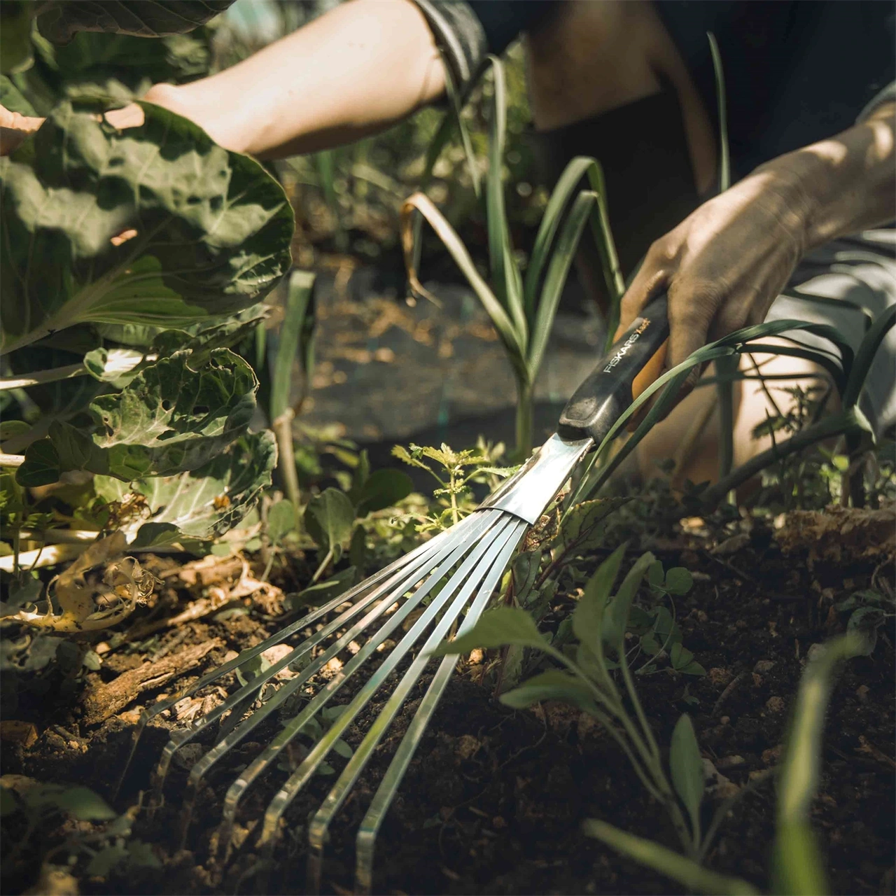 Fiskars Xact handräfsa