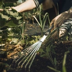 Fiskars Xact handräfsa