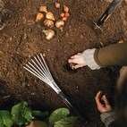 Fiskars Xact handräfsa
