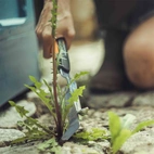 Fiskars Xact planteringsspade