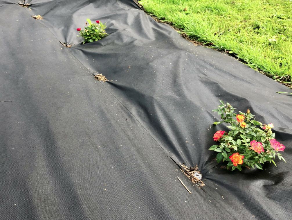 MIA Weedkiller Ogräsduk 2x100m 120g